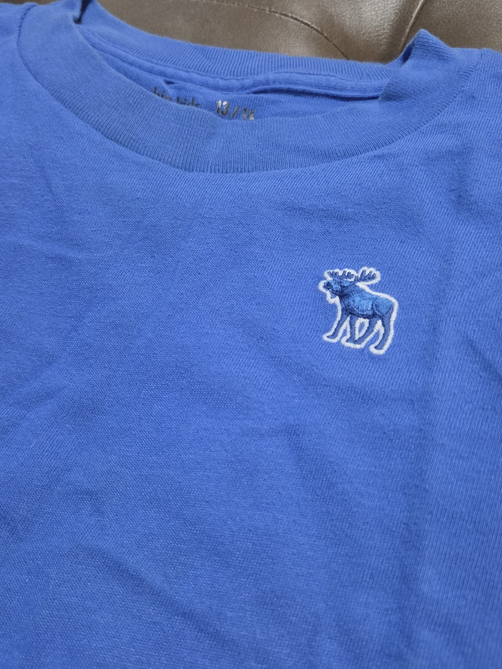 Abercomie & Fitch Kids Crewneck Tee